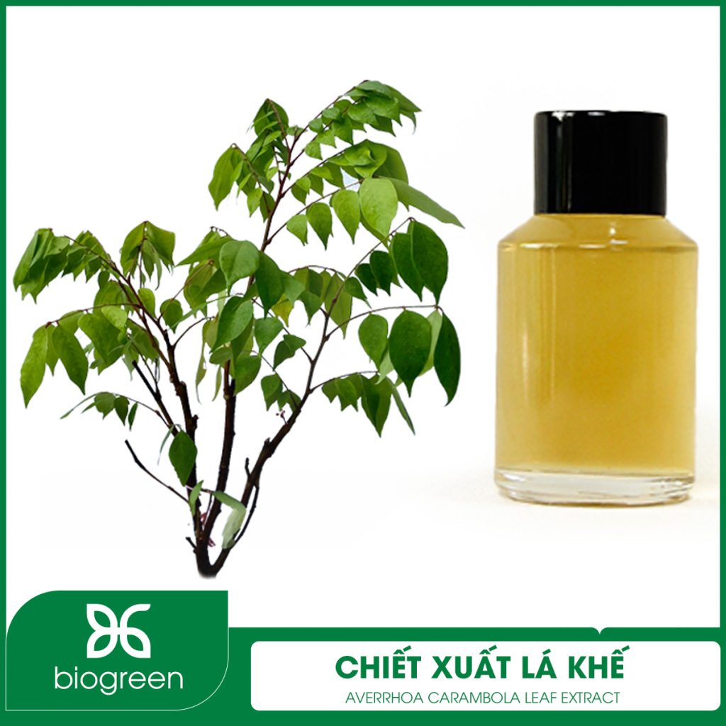 Chiết xuất Lá khế