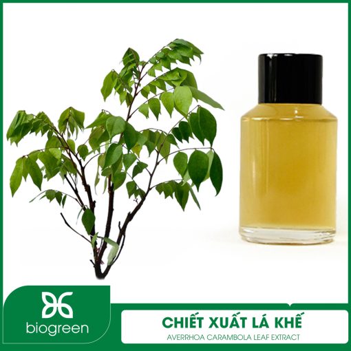 Chiết xuất Lá khế