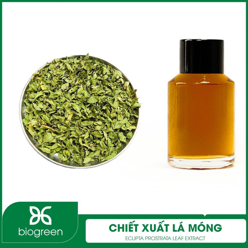 Chiết Xuất Lá Móng