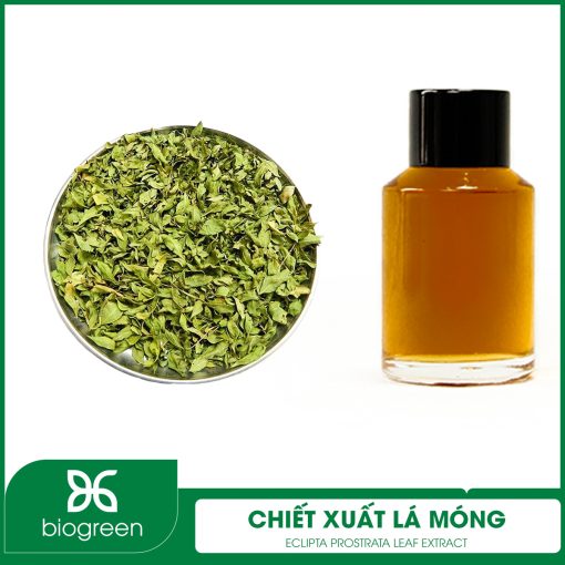 Chiết Xuất Lá Móng