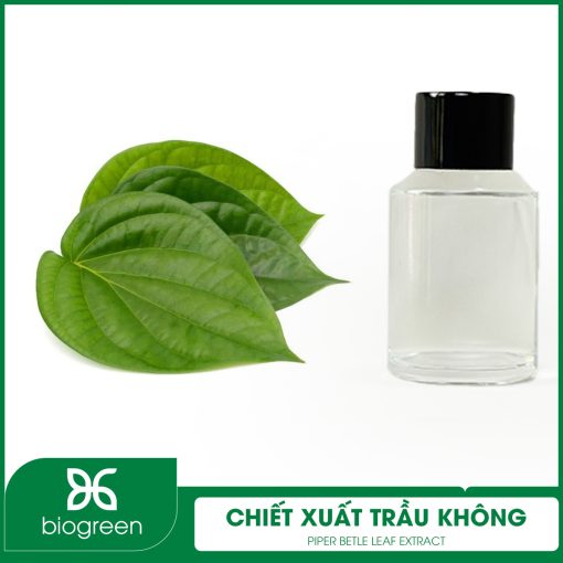Chiết xuất Trầu không