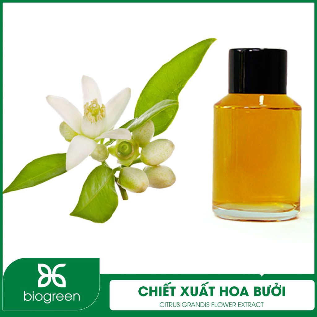 Chiết xuất Hoa bưởi