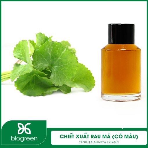 Chiết xuất Rau má