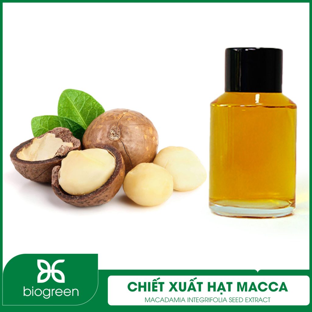 Chiết xuất Hạt Macca