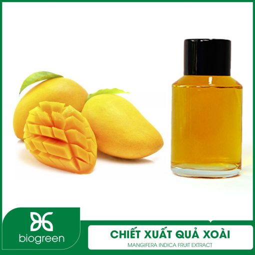 Chiết xuất Quả xoài
