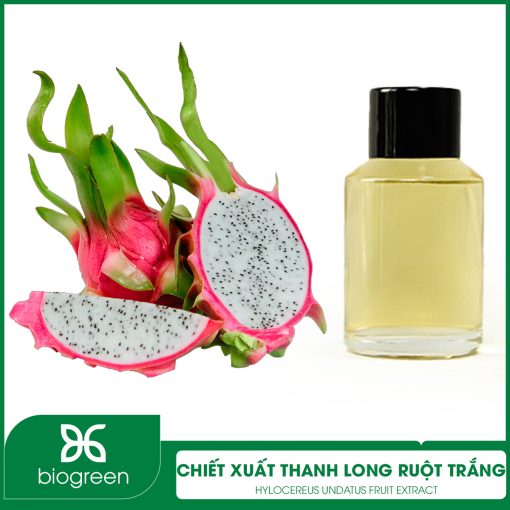 Chiết xuất Thanh long ruột trắng