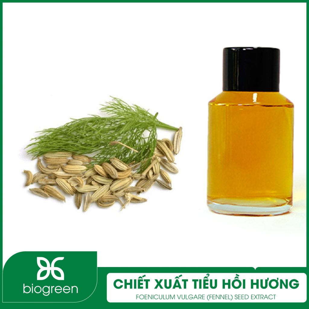 Chiết xuất Tiểu hồi hương (Hạt thì là)