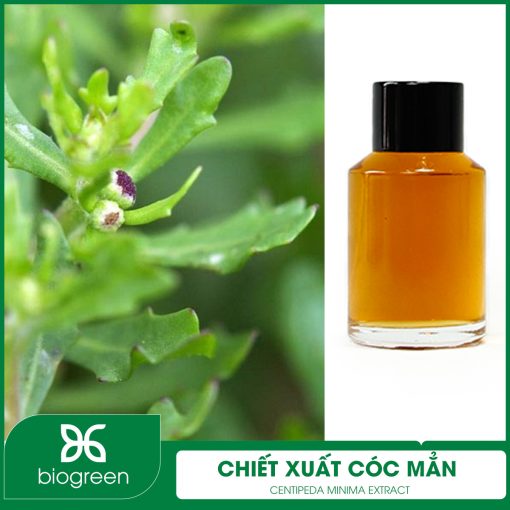 Chiết xuất Cóc mẳn