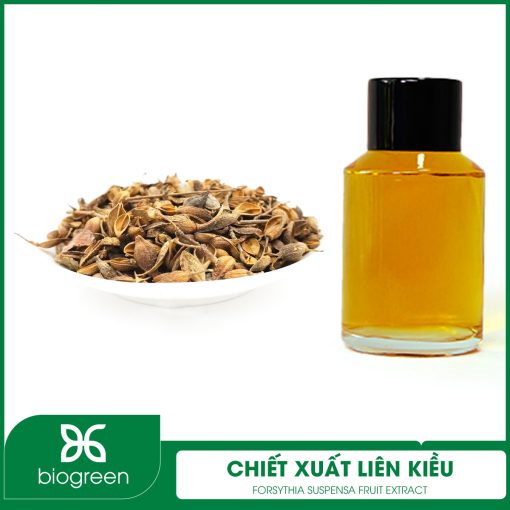 Chiết xuất Liên kiều