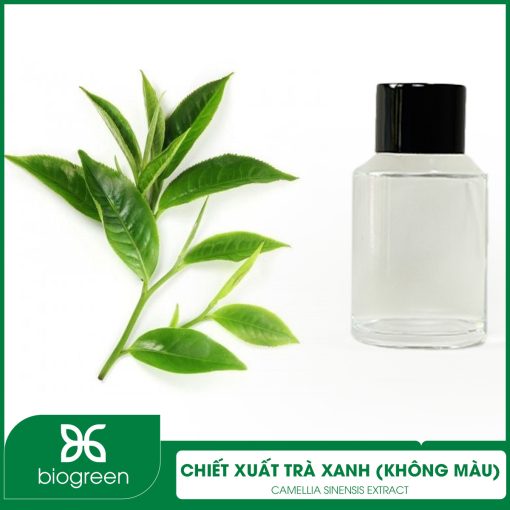 Chiết xuất Trà xanh (không màu)
