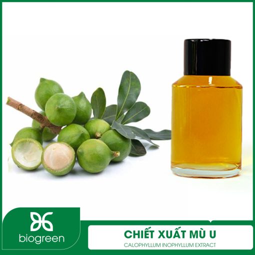 Chiết xuất Mù u