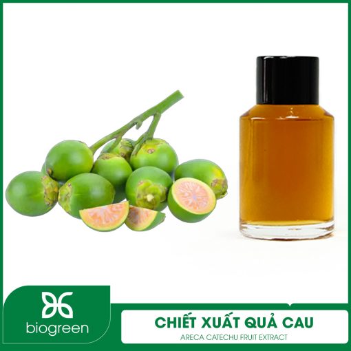 Chiết xuất quả Cau