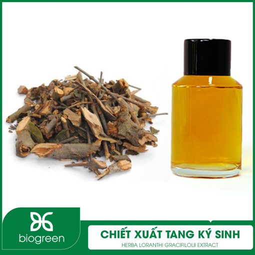Chiết xuất Tang ký sinh