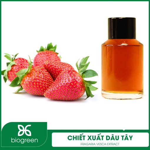Chiết xuất Dâu tây