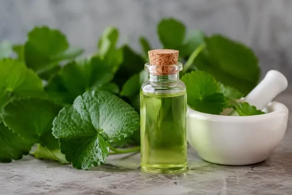 Chiết xuất rau má có tác dụng gì trong mỹ phẩm? 1 Chiết xuất rau má có tác dụng gì trong mỹ phẩm?