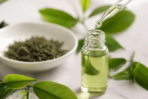 Chiết xuất trà xanh có tác dụng gì cho da? 2