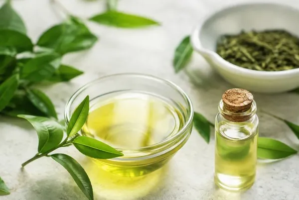 Chiết xuất trà xanh có tác dụng gì cho da? 3